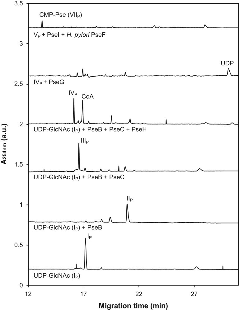 Fig. 5.