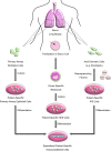 <b>FIG. 2.</b>