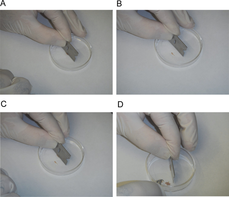 Figure 3.