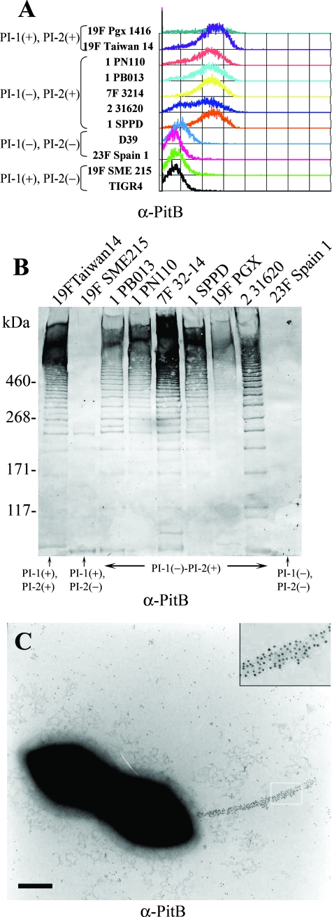 FIG. 2.