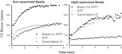 Fig. 1