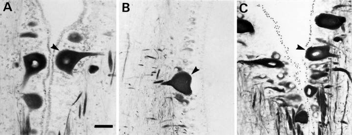 Fig. 14.