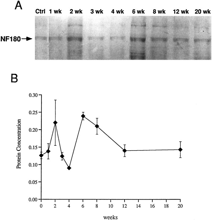 Fig. 13.