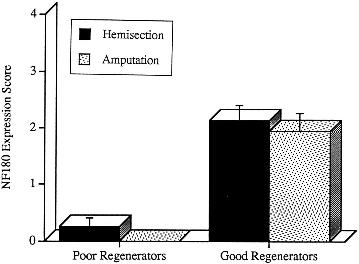 Fig. 12.