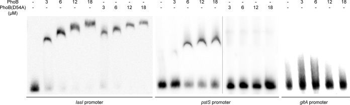 FIG 6