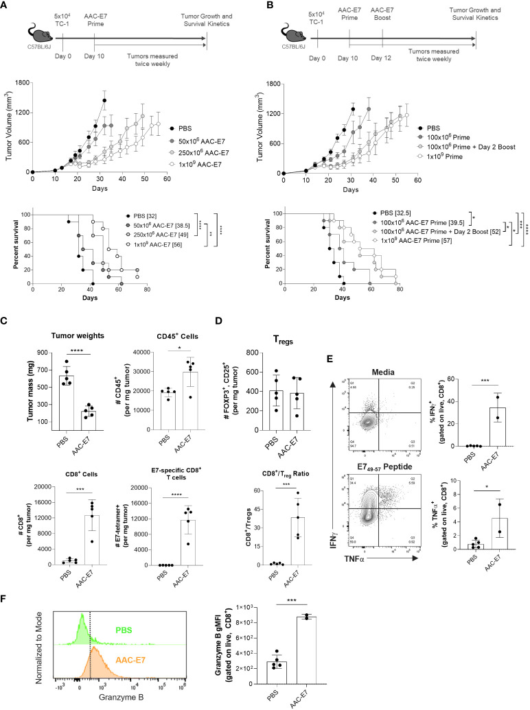 Figure 5