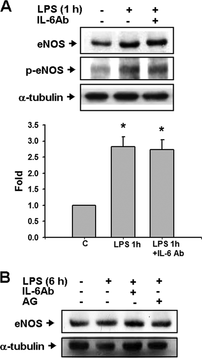 FIG. 5.