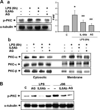 FIG. 6.