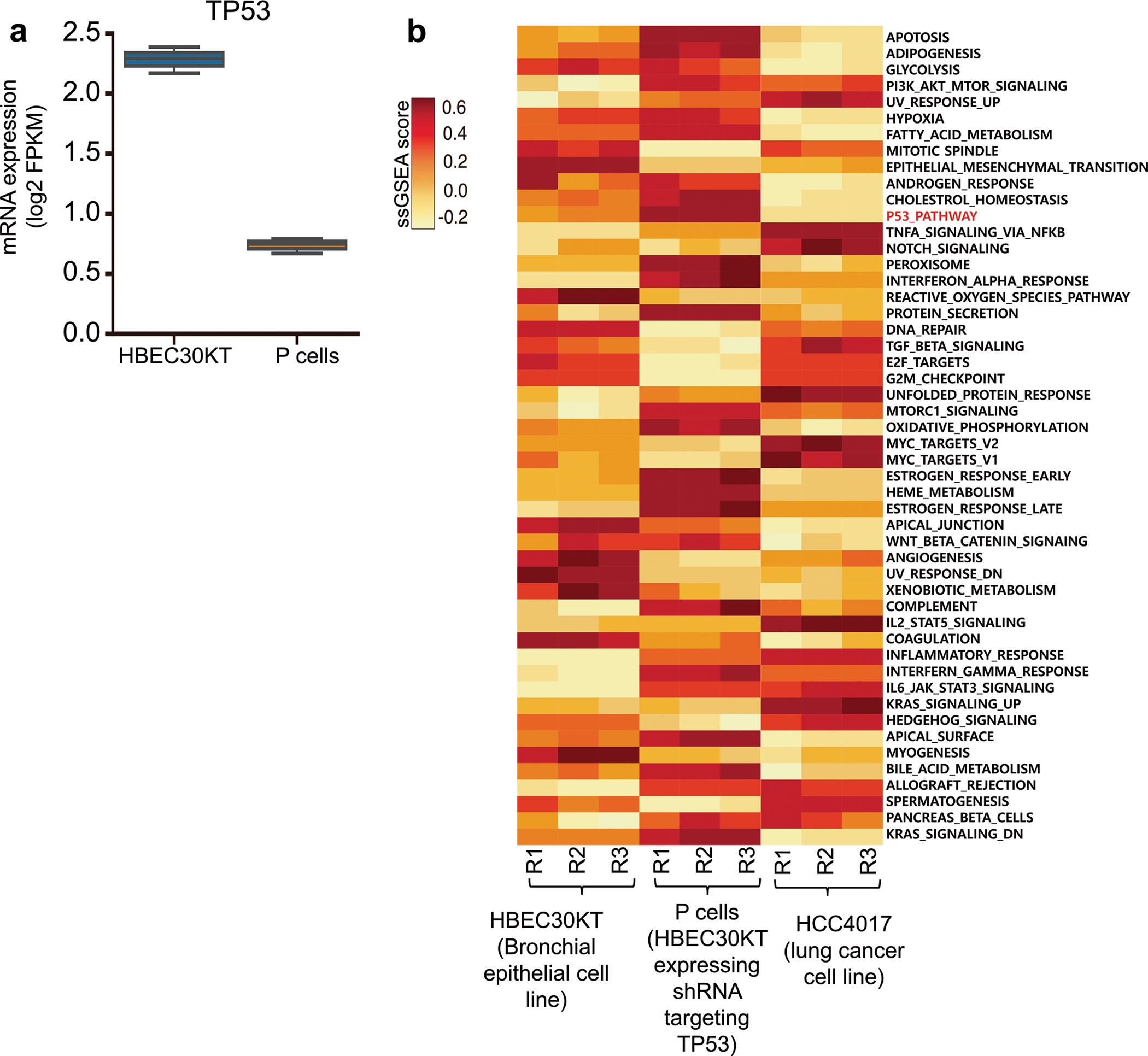 Extended Data Fig. 1 |