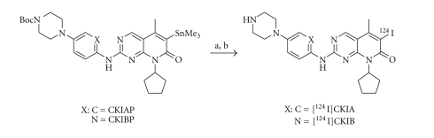 Scheme 1