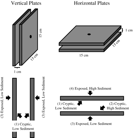 Fig. 1