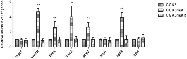 FIGURE 5