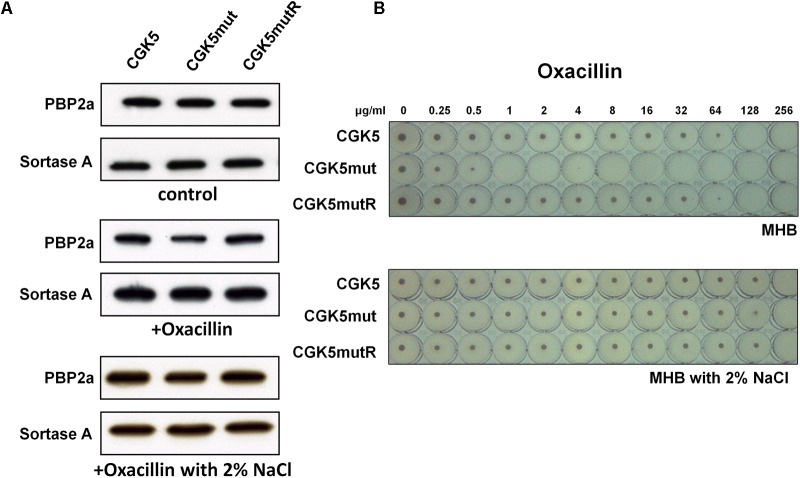 FIGURE 4