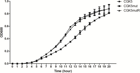 FIGURE 2