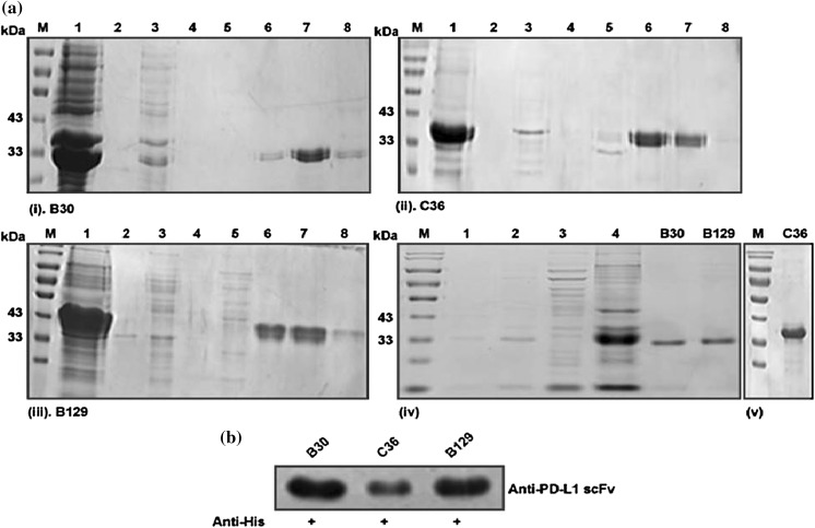 Fig. 6