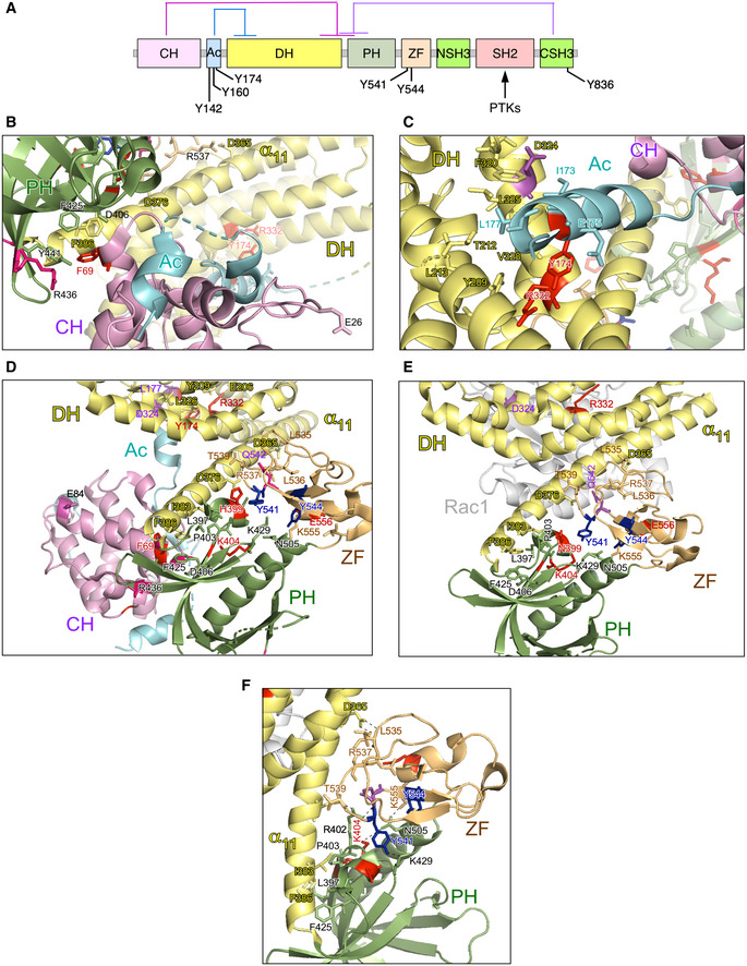 Figure EV3