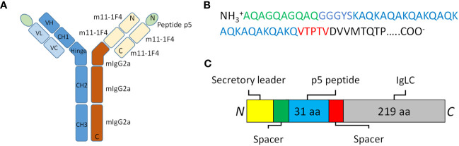 Figure 1