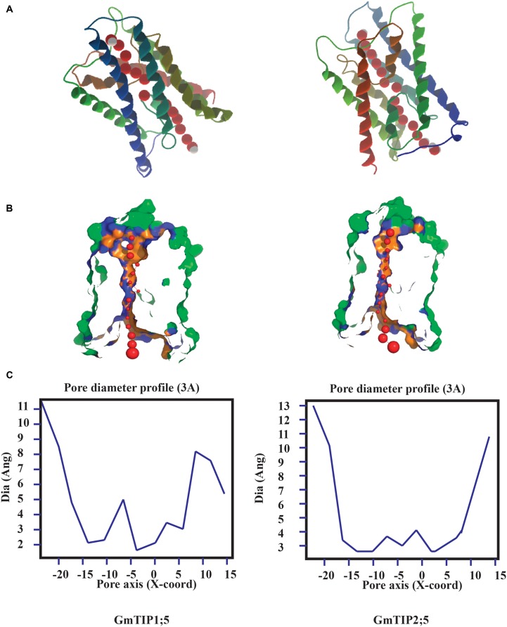 FIGURE 3