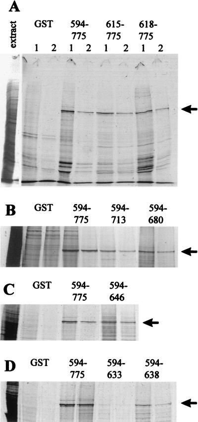 FIG. 1