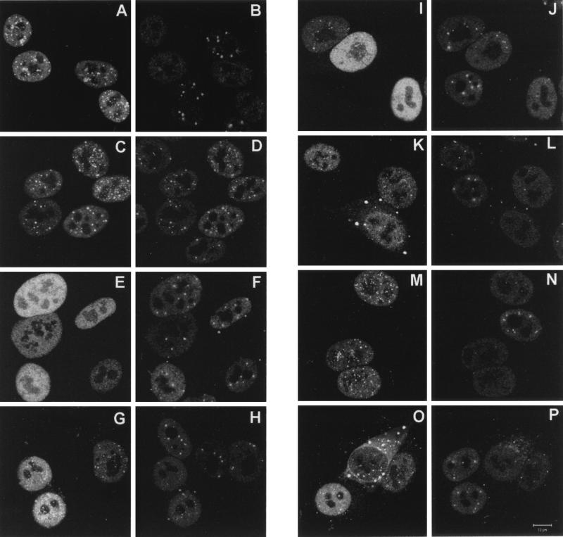 FIG. 8