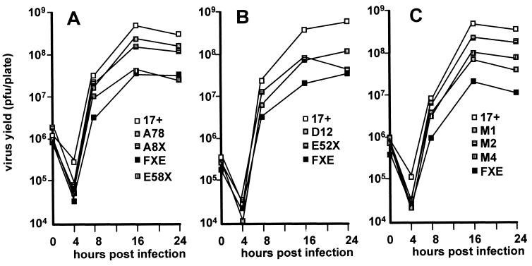 FIG. 9