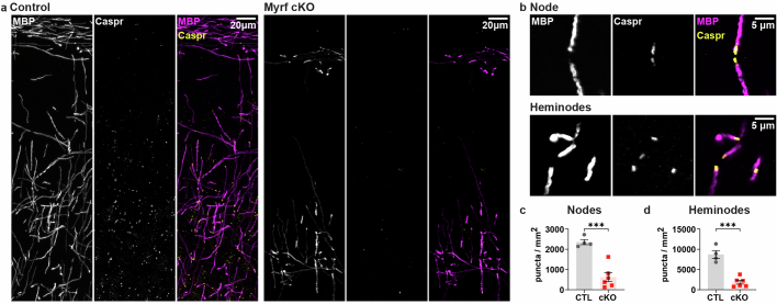 Extended Data Fig. 4