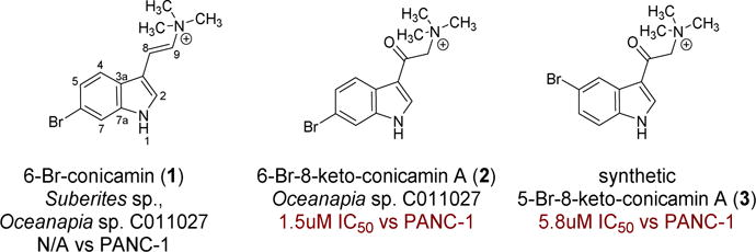 Fig. 1