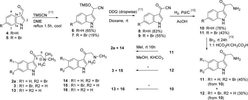 Scheme 1