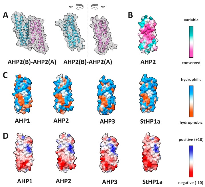 Figure 11