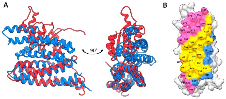 Figure 10