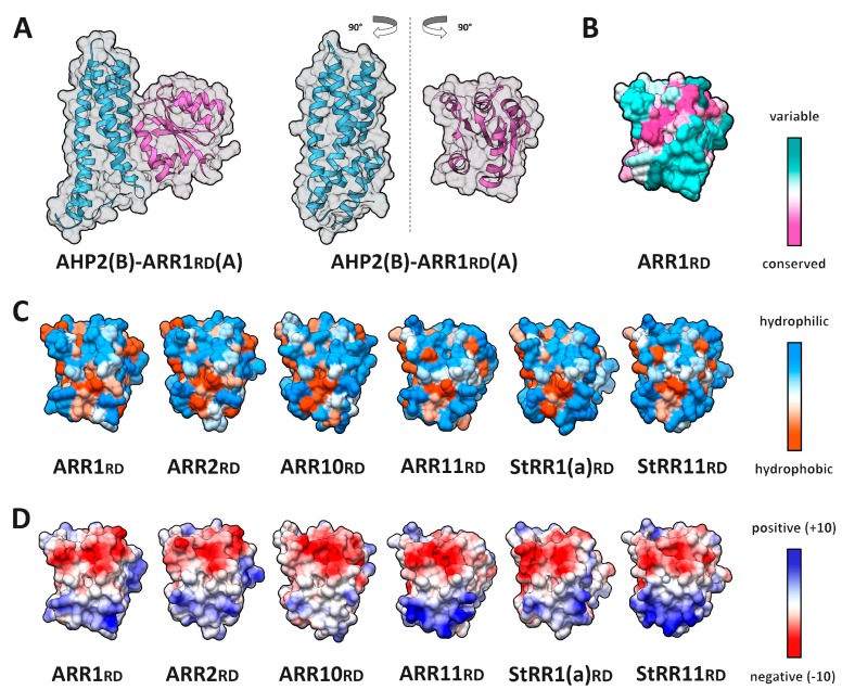 Figure 13