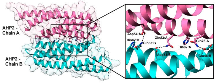 Figure 12