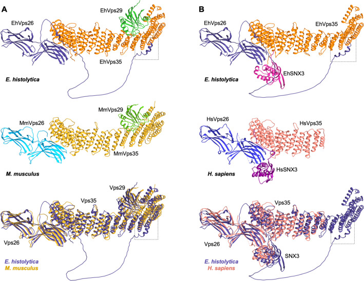 Fig 6