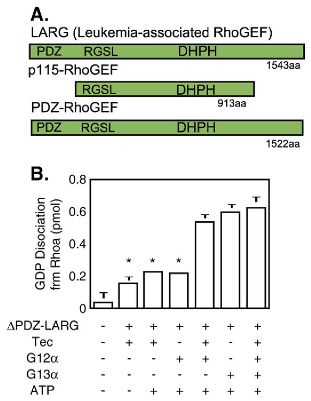 Fig. 12