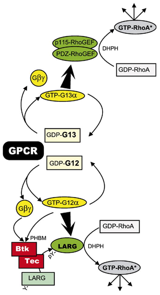 Fig. 13