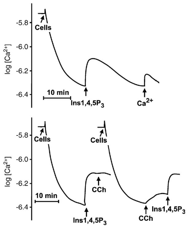 Fig. 5