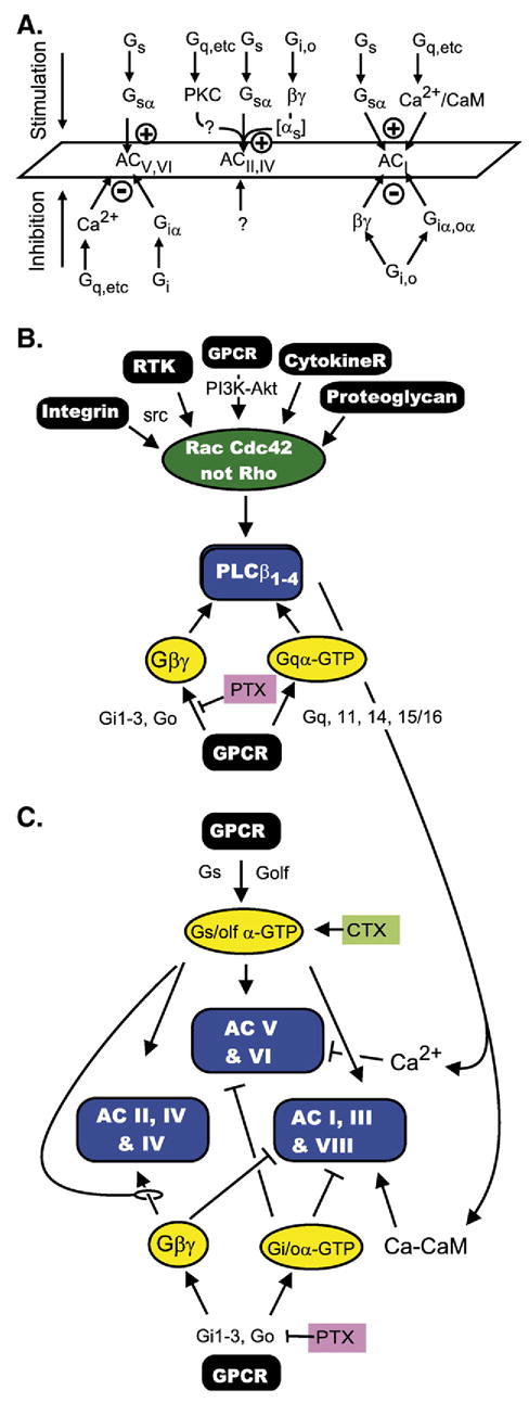 Fig. 16