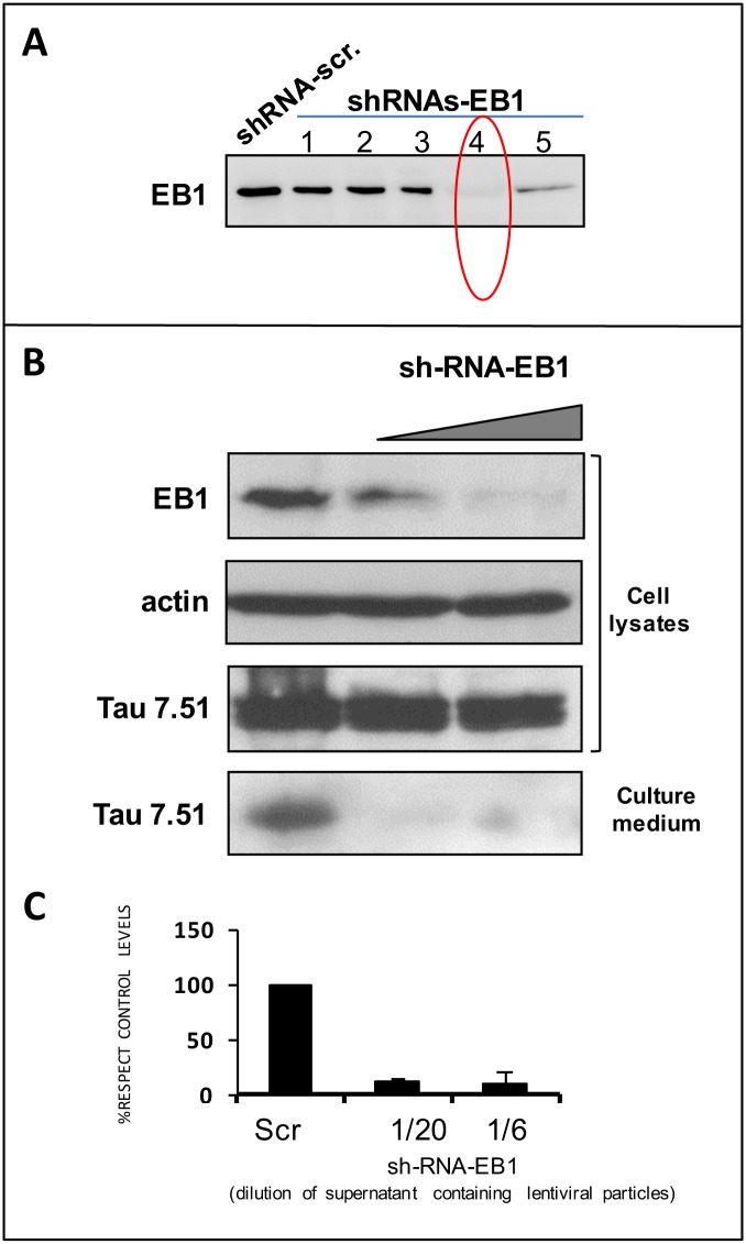 Fig 5