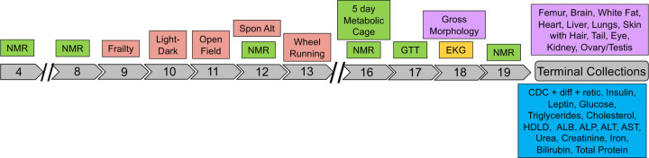 Figure 6.