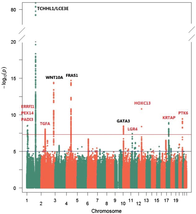 Figure 1.