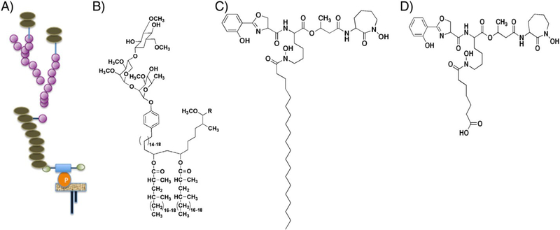 Fig. 1.