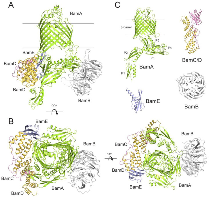 Figure 2