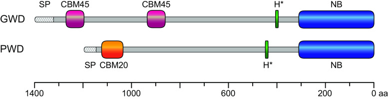 Fig. 1