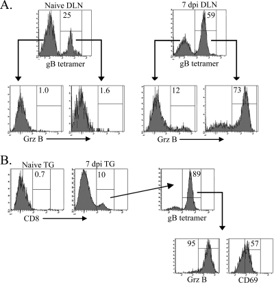 FIG. 4.