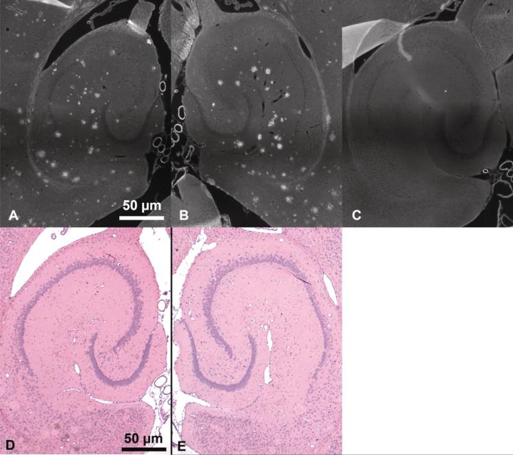 FIG. 6