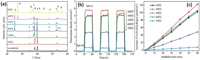 Figure 20