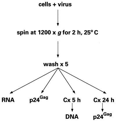 FIG. 1