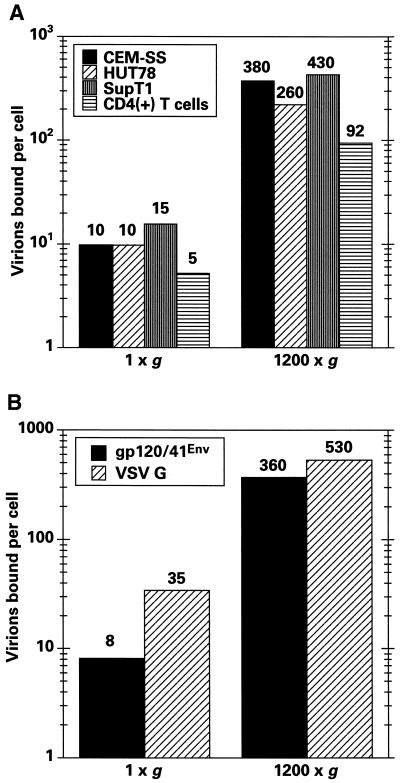 FIG. 6