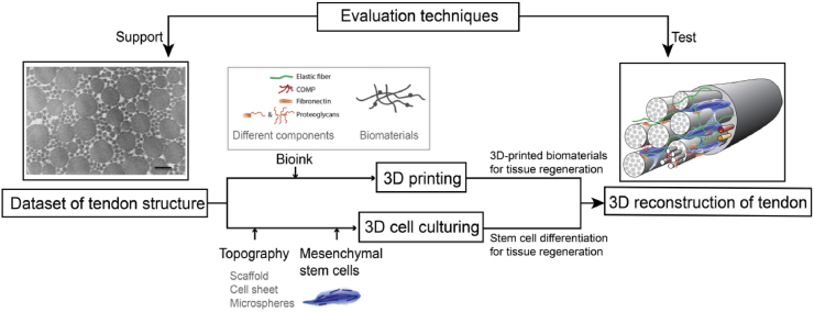 Fig. 10