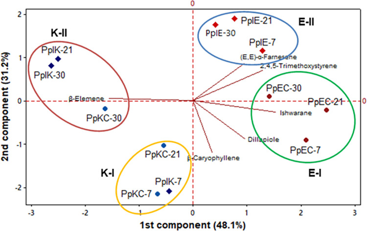 Fig 6